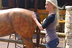 free性中国chinese